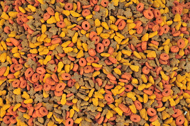 istock Pet food 91517338