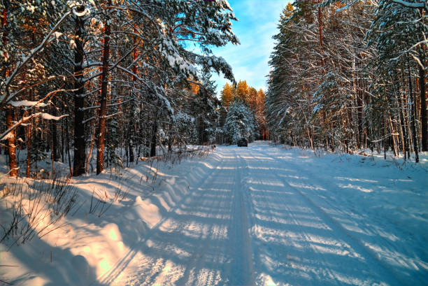 istock Landscape snowy road in the 915173550