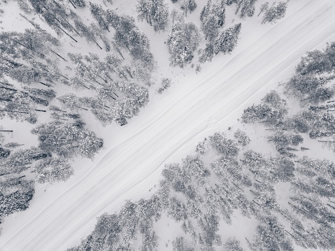 Aerial drone view of winter forest and road covered with snow.  Birds eye view.