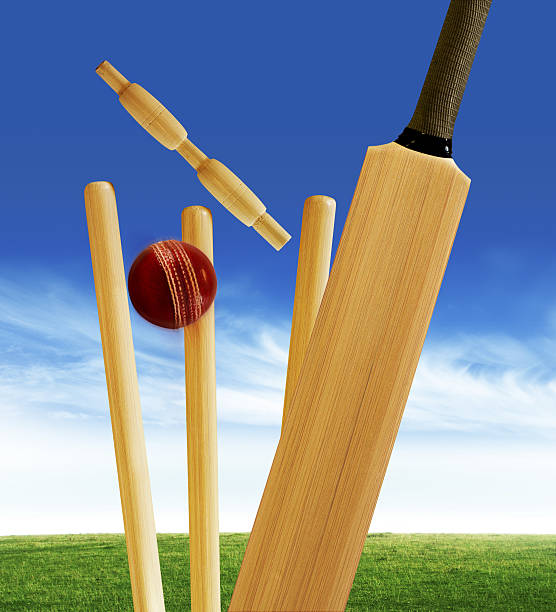 świerszcz - sport of cricket cricket player cricket field bowler zdjęcia i obrazy z banku zdjęć
