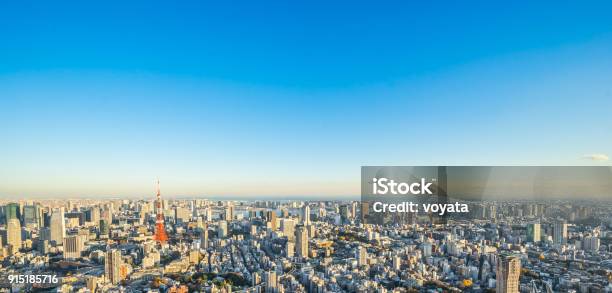 Panoramic Modern City Skyline Bird Eye Aerial View Of Tokyo Tower And Odaiba Under Golden Sun Stock Photo - Download Image Now