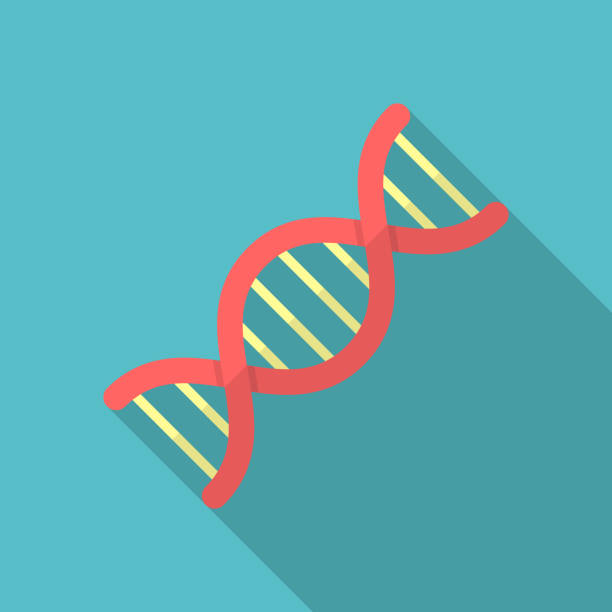 Cartoon Of The Dna Double Helix Illustrations, Royalty-Free Vector Graphics  & Clip Art - iStock