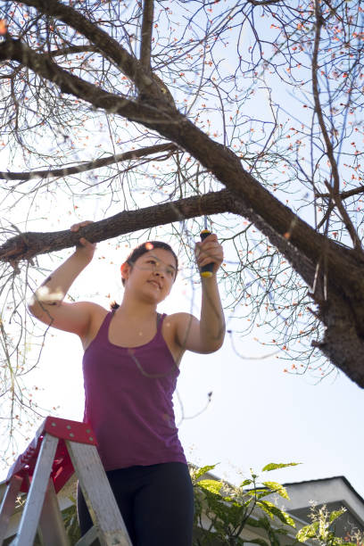Gritty Young Woman on Ladder Pruning Tree with Hand Saw