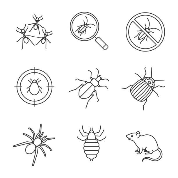 Pest control icons Pest control linear vector icons. Thin line. Cockroach searching, ants, stop roaches, mite target, ground beetle, colorado bug, spider, louse, rodent ground beetle stock illustrations
