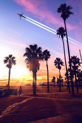 Palm and boardwalk silhouette at dusk in Los Angeles beach of Santa Monica with airplane and vapor trail on the background