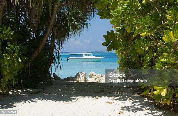 Das Fenster Zum Meer Stockfoto und mehr Bilder von Ari-Atoll - Ari-Atoll, Atoll, Baum