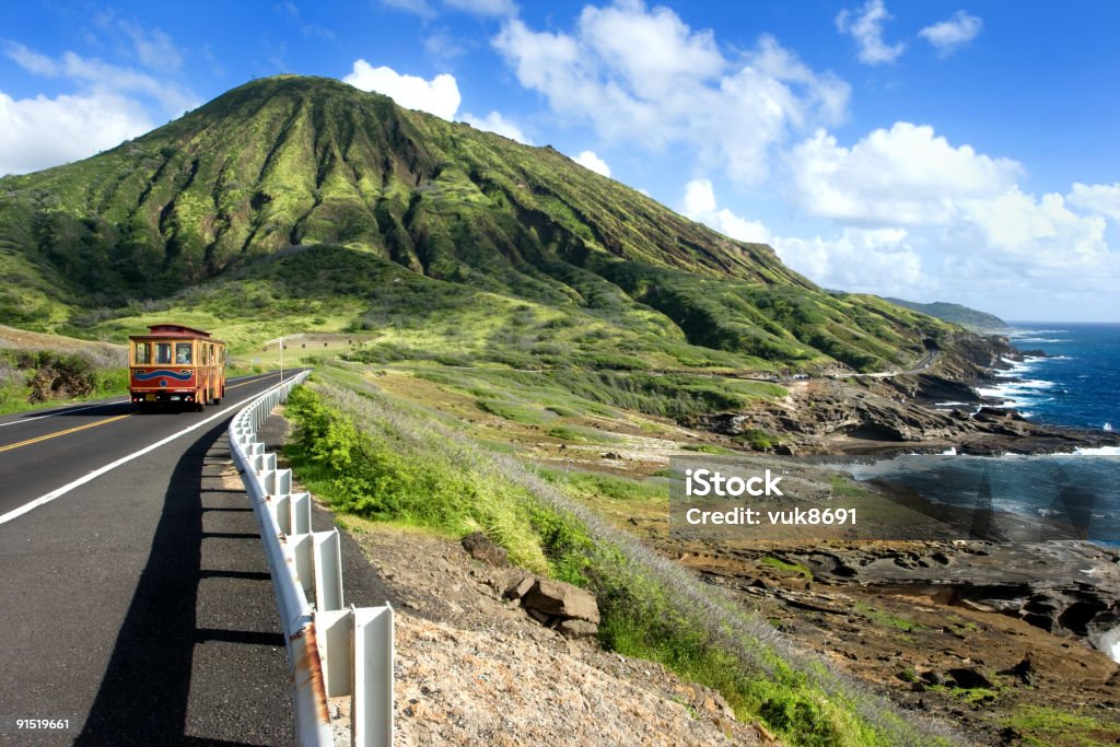 Hermoso paisaje de Hawai - Foto de stock de Autobús libre de derechos