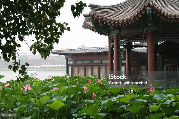 아시아판 Palace 연꽃과에 대한 스톡 사진 및 기타 이미지 - 연꽃과, 베이징, 동아시아 문화