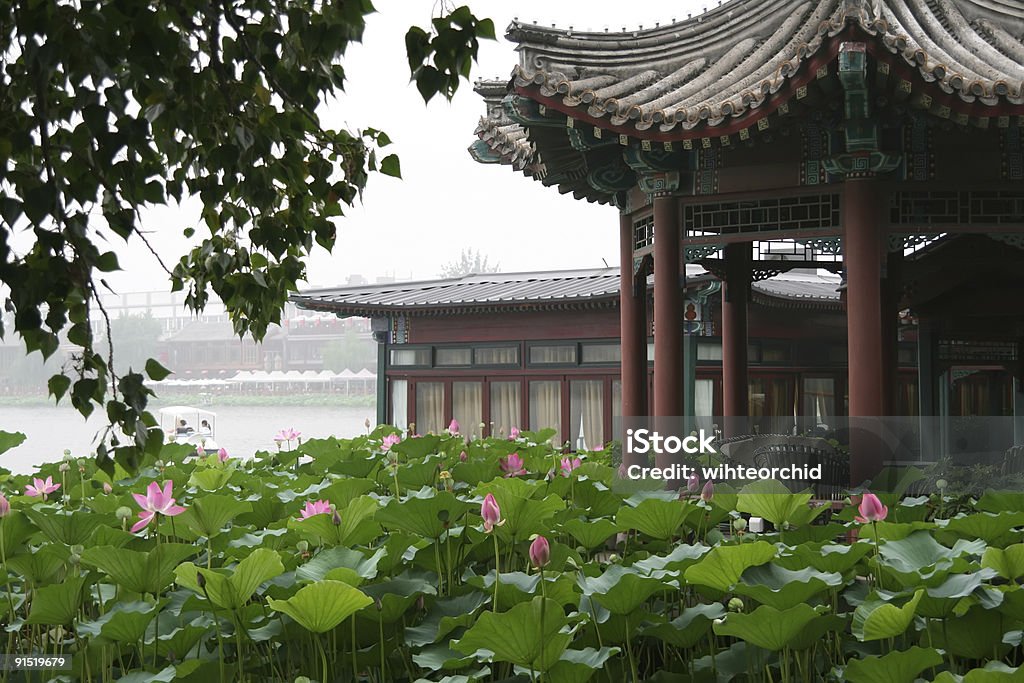 Palácio asiática - Foto de stock de Lótus royalty-free