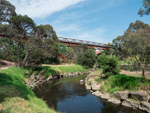 Melbourne, Australia - January 26, 2018: elevated walkway crossing Gardiners Creek connecting two parts of the Deakin University Burwood campus. Construction of the footbridge was controversial.