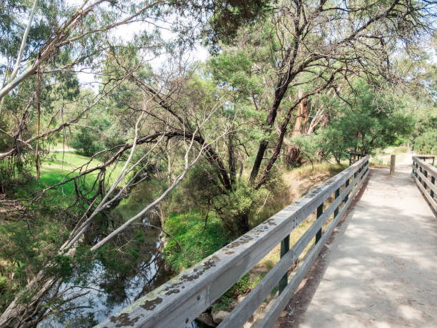 istock Stream running through Gardiners Creek in Melbourne, Australia. 915202100