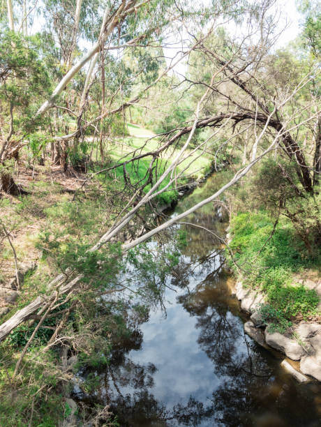 istock Stream running through Gardiners Creek in Melbourne, Australia. 915202502