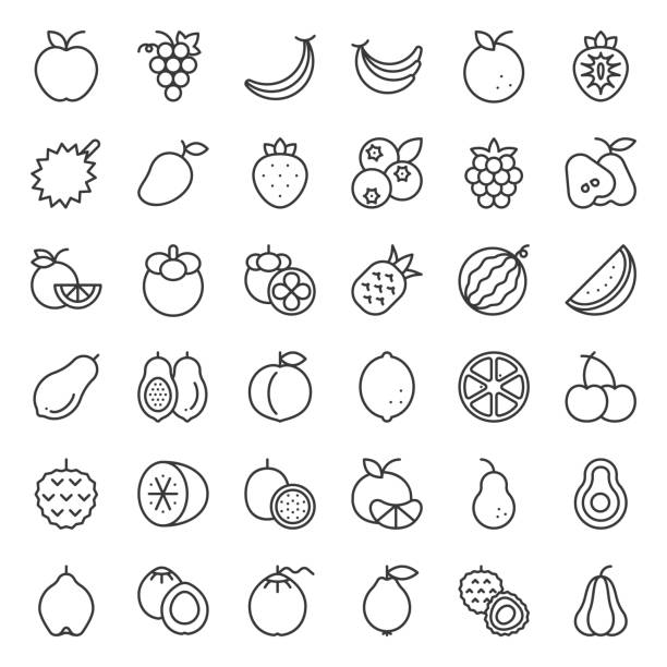 ilustrações, clipart, desenhos animados e ícones de conjunto de ícones do contorno do fruto bonito, tais como laranja, kiwi, coco, banana, mamão, pêssegos, tropicais frutas - watermelon melon vector vegetable