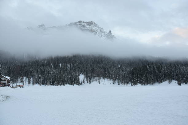 istock Mountain, Fog, Trees and Snow. 915203336