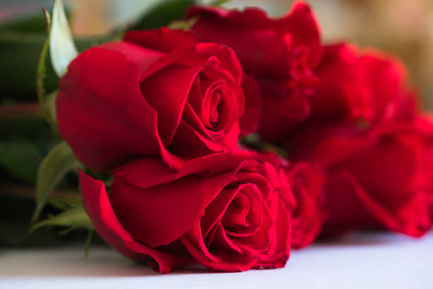 bellissime rose sul tavolo - rose valentines day bouquet red foto e immagini stock