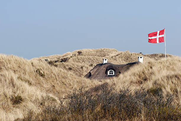 thatched roof house in quaint landscape at the sea under beautiful sky