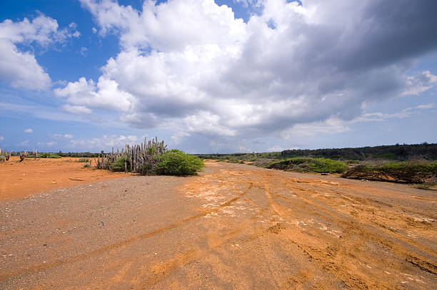 hato Planalto curacao - fotografia de stock