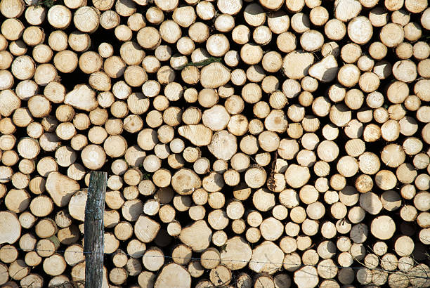 stack of ,logs stock photo