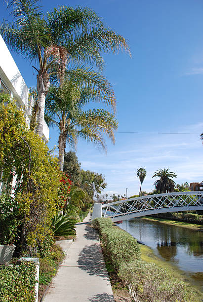 istock venice beach - los angeles 91520963