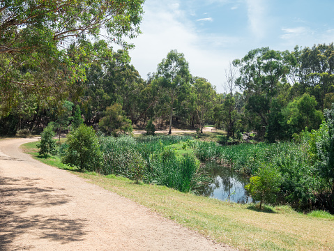 Gardiners Creek park in Burwood in suburban Melbourne, Australia