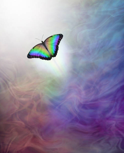 istock Soul Release Metaphor for passing over to the afterlife 915213360