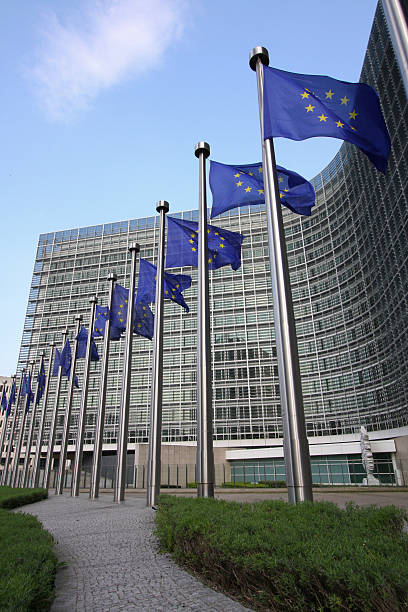 Line of European flags in Brussels European flags in Brussels in front of the European Commission headquarters (Berlaymont building). european parliament stock pictures, royalty-free photos & images