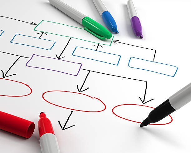 zeichnung organigramm - diagram flow chart whiteboard empty stock-fotos und bilder