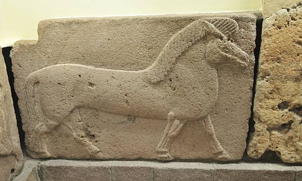 istock Old animal figure at museum 91521512
