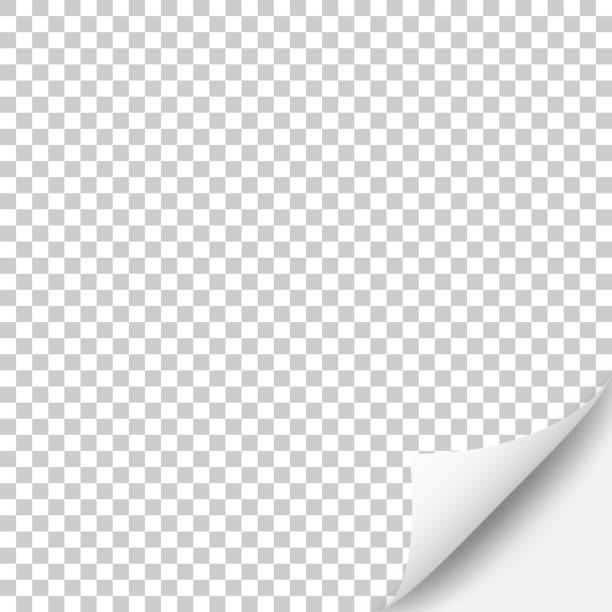 ilustrações, clipart, desenhos animados e ícones de fundo em branco com página enrolado - white background square close up office supply