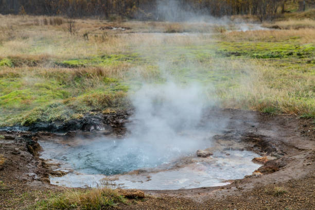 istock Geysers in Iceland Prarie 915219862
