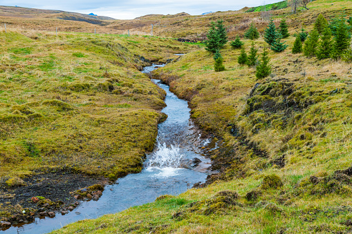 Flowing Water in Iceland Prairie.