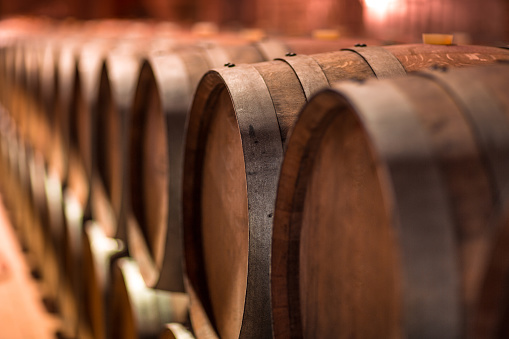 Wooden Barrels in Wine Cellar