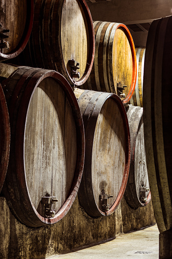 Wooden Barrels in Wine Cellar