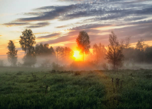 istock spring morning. a misty dawn in a picturesque meadow. Sun rays 915225778