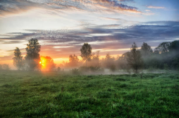 istock spring morning. a misty dawn in a picturesque meadow. Sun rays 915225870