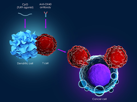 3d render of cancer immunotherapy using CpG combined with an anti-OX40 antibody