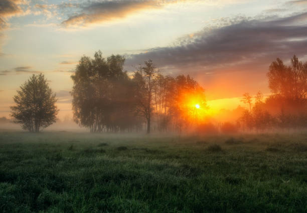 istock spring morning. a misty dawn in a picturesque meadow. Sun rays 915226238