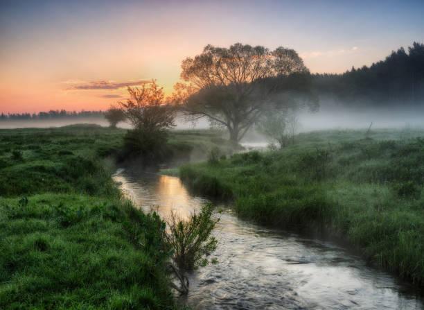 istock spring morning. a misty dawn in a picturesque meadow. Sun rays 915226678