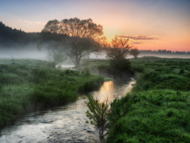 istock spring morning. a misty dawn in a picturesque meadow. Sun rays 915226810