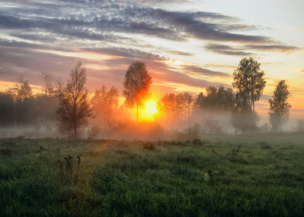 istock spring morning. a misty dawn in a picturesque meadow. Sun rays 915226828
