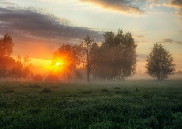 istock spring morning. a misty dawn in a picturesque meadow. Sun rays 915226954