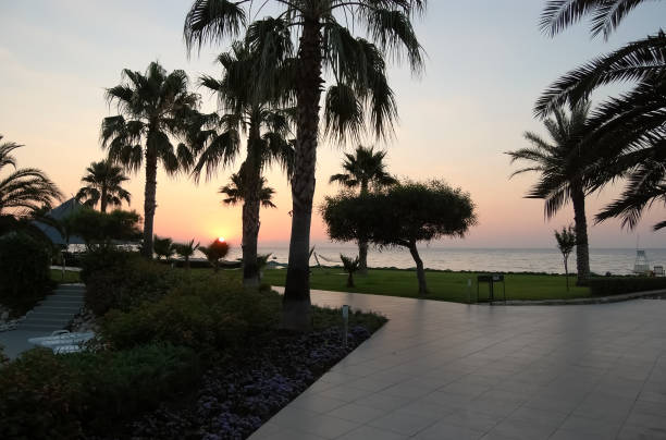 Sunrise, beach, palm trees on the Turkish coast of the Mediterranean sea.