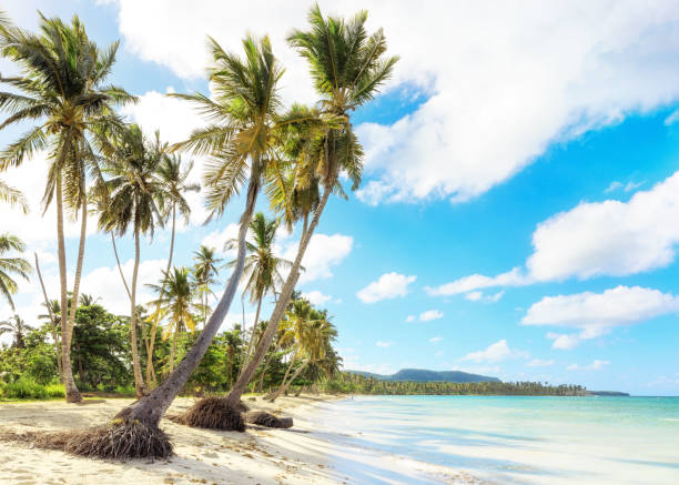istock Vacation in Dominican Republic 915233026