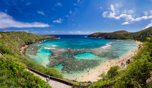 bahía de hanauma en oahu, hawai - hanauma bay hawaii islands oahu bay fotografías e imágenes de stock