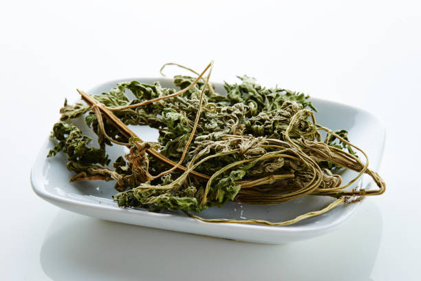 istock Chinese herbal medicine 915247748