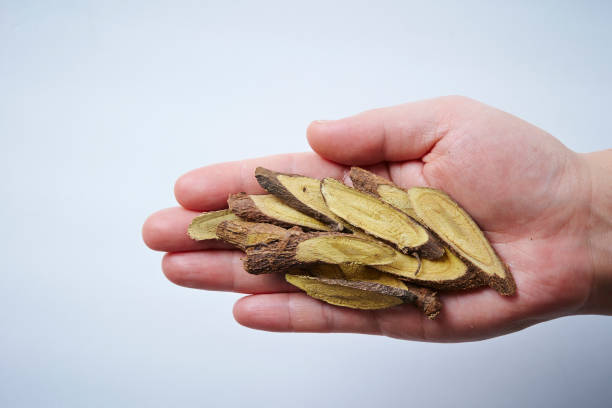 Glycyrrhiza glabra - Dried organic licorice sticks