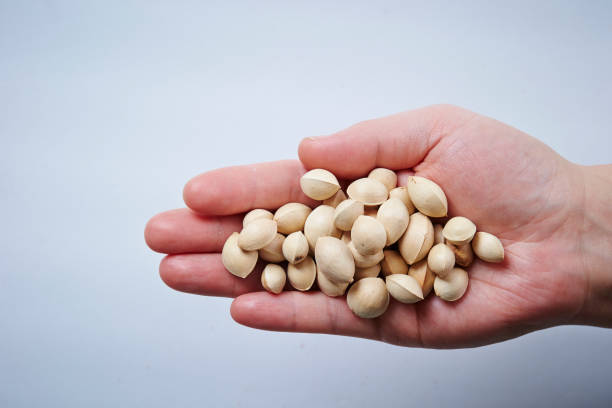 istock Chinese herbal medicine 915250784