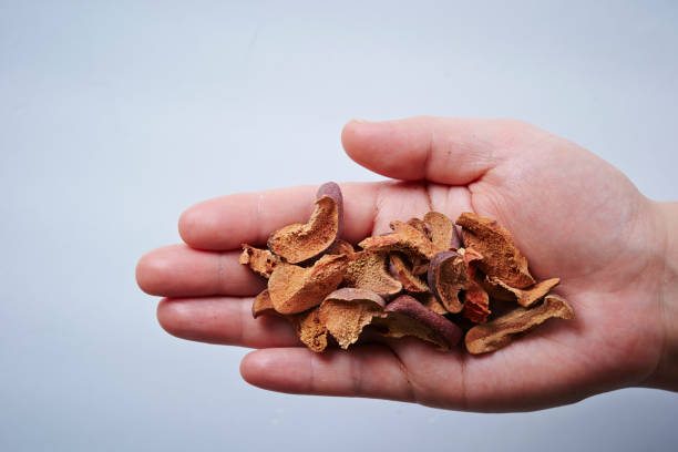 istock Chinese herbal medicine 915250958