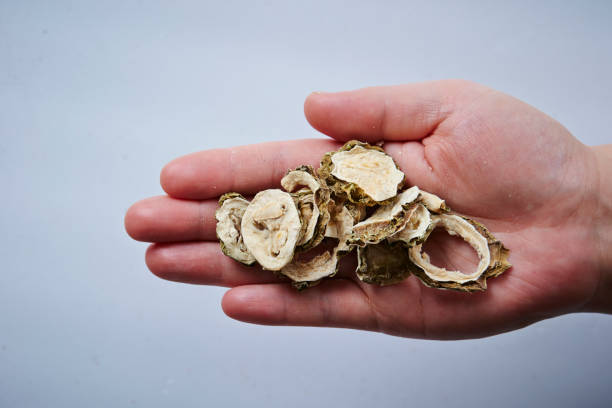 istock Chinese herbal medicine 915251058
