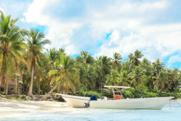 istock Vacation in Dominican Republic 915270826